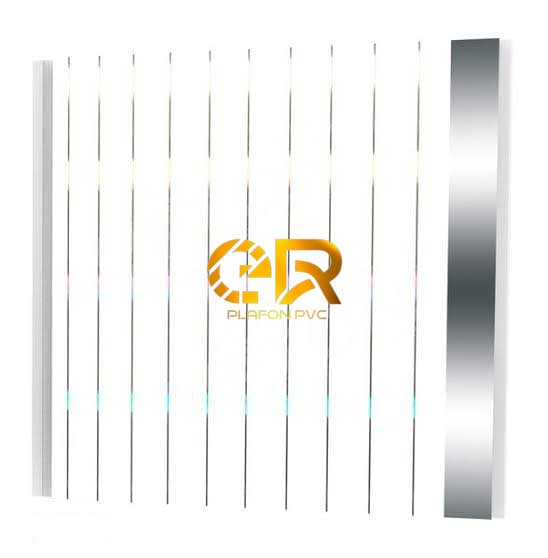 ER plafon pvc4